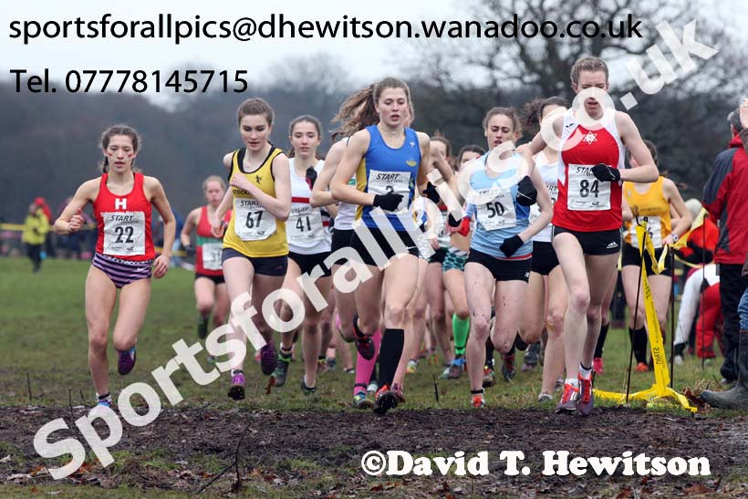 Womens under-20a  Northern Cross Country, Knowsley Safari Park. Photo: David T. Hewitson/Sports for All Pics